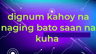 dignum kahoy na naging bato saan nakuha