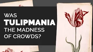 🌷 Was Tulipmania the Madness of Crowds? | Can history repeat itself with crypto currencies?