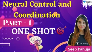 NEET: One Shot-Neural Control and Coordination | Part -1 | Unacademy NEET | Seep Pahuja