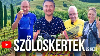 🍇 SZŐLŐSKERTEK - 1. évad 22.rész  | Titkok a cecei kertből.