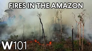 Fires in the Amazon: Sovereignty in the Global Era |World101