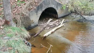 Lake Drain Culvert Collapse/ Sinkhole UPDATE 11-5-2019