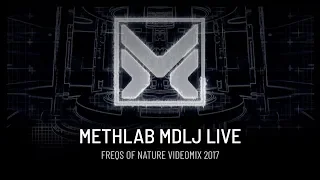 MLDj [MethLab] at Freqs Of Nature 2017 - Robot [4K]