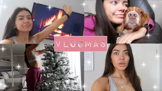 VLOGMAS 1 | PUTTING UP MY XMAS DECS!