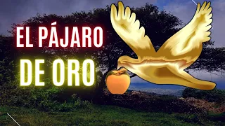 EL PAJARO DE ORO - Un Cuento Reflexivo y con Valores de los Hermanos Grimm