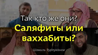 Так кто же они? Саляфиты или ваххабиты?