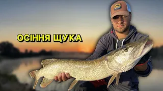 ОСІННЯ ЩУКА 2023 НА BIG BAITS! ПОШУК ЩУКИ З ЕХОЛОТОМ LOWRANCE HDS LIVE 7! ЛОВЛЯ БОЛЬШИХ ЩУК! УХА!