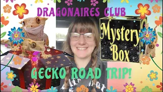 Crested gecko road-trip, unboxing and introduction.