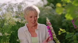 Summer Gardening with Carol Klein🍀Episode 1