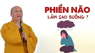 BIẾT ÍT thì PHIỀN NÃO ÍT - PHIỀN NÃO làm sao buông? Chỉ Có Cách Buông Xả | Thầy Thích Phước Tiến