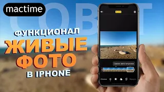 Скрытый функционал живых фото в iPhone