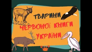Червона книга України:  тварини