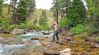 Fly Fishing the most INCREDIBLE Stream in Wyoming  - Fly Fishing Wyoming (part 3)