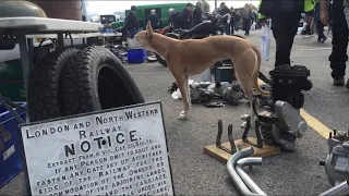 Kempton Park Motorcycle Autojumble Mad Dogs & Englishmen go out in the Midday Sun