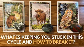 What is keeping you stuck in this cycle and how to break it?  ✨🔮✨ | Pick a card