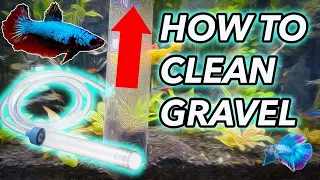 How to use an Aquarium Gravel vacuum