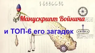 Манускрипт Войнича и ТОП-6 его загадок