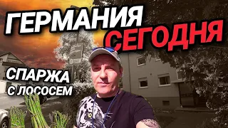 ГЕРМАНИЯ СЕГОДНЯ. ЖИЗНЬ КАК ОНА ЕСТЬ.  15 ЛЕТ НЕ ПЫЛЕСОСИЛ В МАШИНЕ. СПАРЖА С ЛОСОСЕМ.