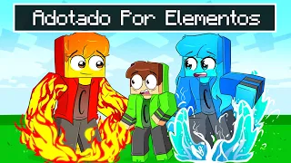 FUI ADOTADO POR ELEMENTAIS NO MINECRAFT