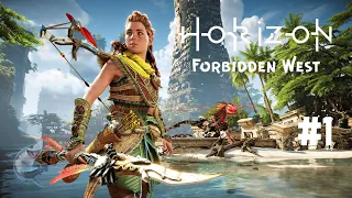 Прохождение Horizon Forbidden West (Запретный Запад) — Часть 1 ✪ PS4 ✪ 4К