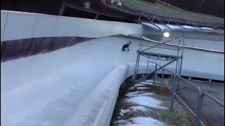 Skeleton Crash in Igls Austria