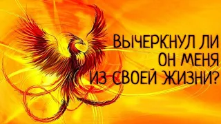 ТАРО. ЧТО ИМ  ДВИЖЕТ: РАЗУМ ИЛИ СЕРДЦЕ? …Таро онлайн Ютуб |Расклад онлайн| Таро онлайн видео