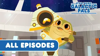 Best Moments, All Episodes | Star Wars Galactic Pals