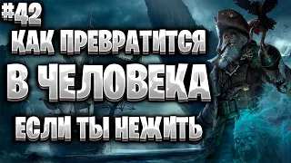 Corsairs Ship Pack#42/Как стать человеком/Как превратится в Черную Бороду/Шип пак v2.0 Final