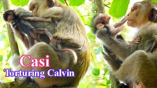 HOW CAN ORPHAN CALVIN LIVE WITH NEW MOM CASI? POOR BABY CALVIN GOT TORTURING BY MOM CASI!!