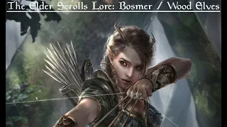 The Elder Scrolls Lore: The Bosmer | Wood Elves