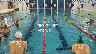 접영 국가대표 50m 시범 영상 #수영 #접영