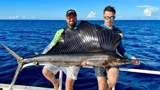 We Caught Giant Sailfish with Delimine!! @DeliMiNe