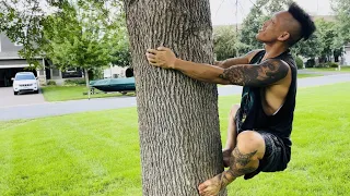 To Climb a Tree(S)