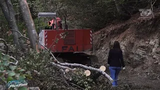 Fiks Fare/ Fiksit i bllokojnë rrugën, s'duhej të filmonte masakrën mjedisore