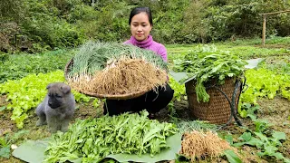 Harvest The Vegetable Garden go market sell | Buy Puppies & Build a house.