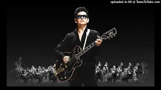 Roy Orbison - A Love So Beautiful (with The Royal Philharmonic Orchestra)