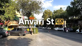 Shiraz Walking Tour, Anvari St., Iran 2022 (4K video)