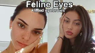 𝐅𝐞𝐥𝐢𝐧𝐞 𝐄𝐲𝐞𝐬; ; desired eyes +lifted eye brows subliminal ~very powerful