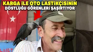 Oto Lastikçinin Kargayla Dostluğu Görenleri Şaşırtıyor