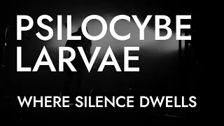 PSILOCYBE LARVAE - Where Silence Dwells (Live at Serdtse Club). 19.04.2024