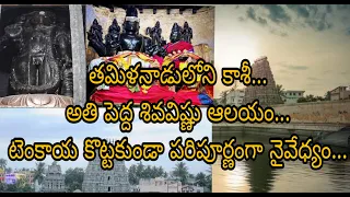 Sattainathar Temple Sirkazhi - Brahmapureeswar Alayam - Telugu