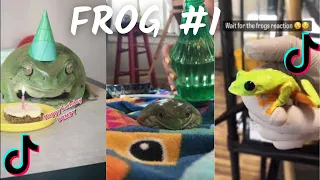 Funny Frog /Compilation TikTok   2023  4K