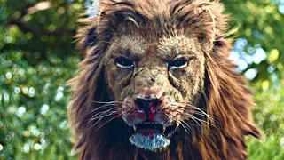 PREY UNCAGED (2016) Film Explained Hindi / Urdu | Slasher Lion Movie Summarized