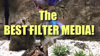 Best Filter Media - EVER!!!