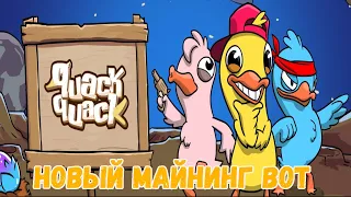 QuackQuack новый майнинг BOT в Telegram