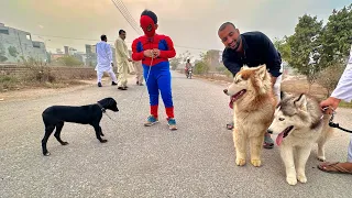 Aj Sb Dogs Ko Bahir Le Aiy Or Race Bhi Lgwai😍