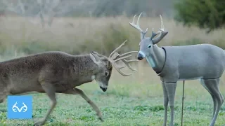 Buck DESTROYS Decoy | Michael Hunsucker in Missouri  | Monster Bucks Monday Presented by Midway USA