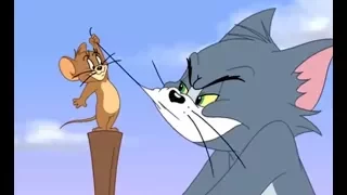 Tom and Jerry, Episode - Jungle Love - [ T&J Movie ]