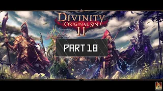 Mr.HangedMan's Divinity Original Sin II [Tactician] Playthrough Part 18 - Driftwood II