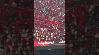 فيديو المشجع الذي أفسد تيفو اتحاد العاصمة في النهائي 😔😔😔